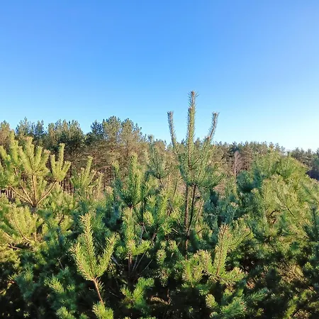 Osada Blanka Black & White Vakantiehuis Swornegacie