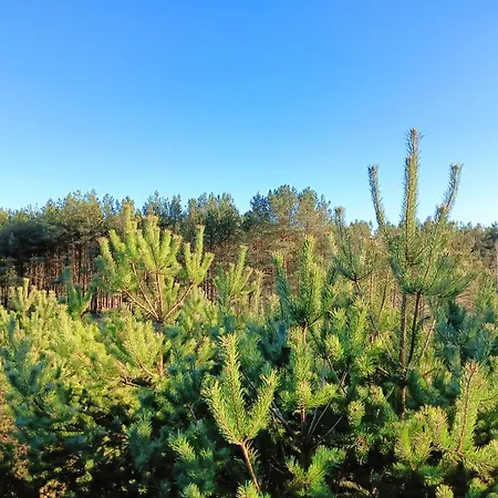 Osada Blanka Black & White *