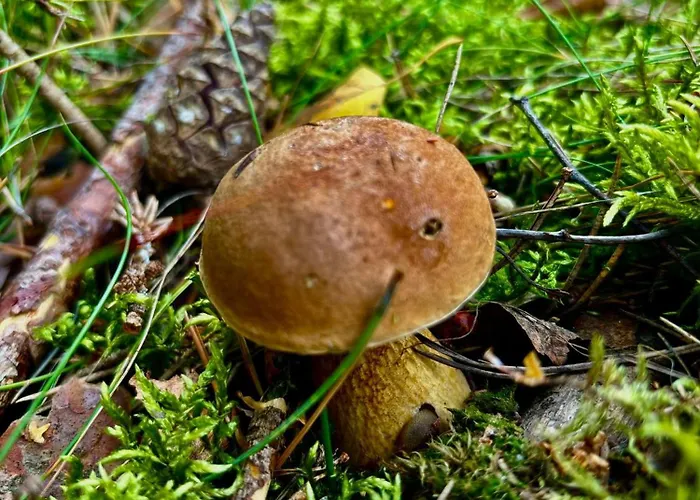 Osada Blanka Black & White Сasa de vacaciones *