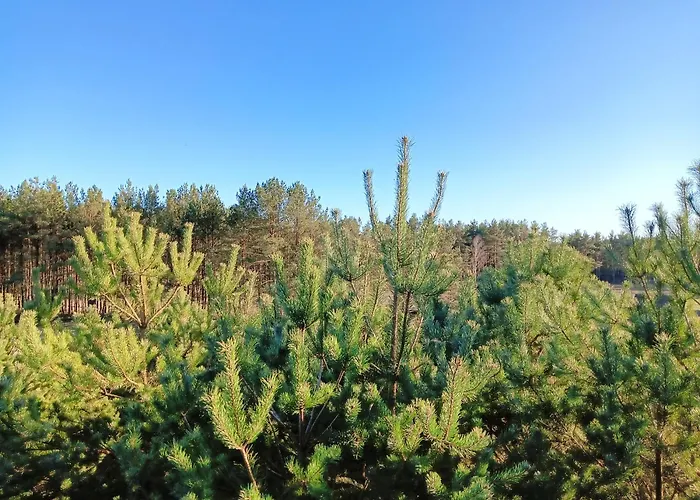 Osada Blanka Black & White Сasa de vacaciones Swornegacie