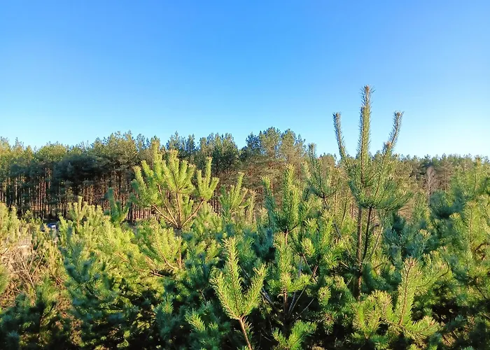 Osada Blanka Black & White *