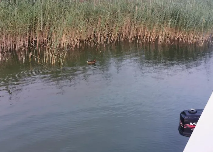 Сasa de vacaciones Osada Blanka Black & White *