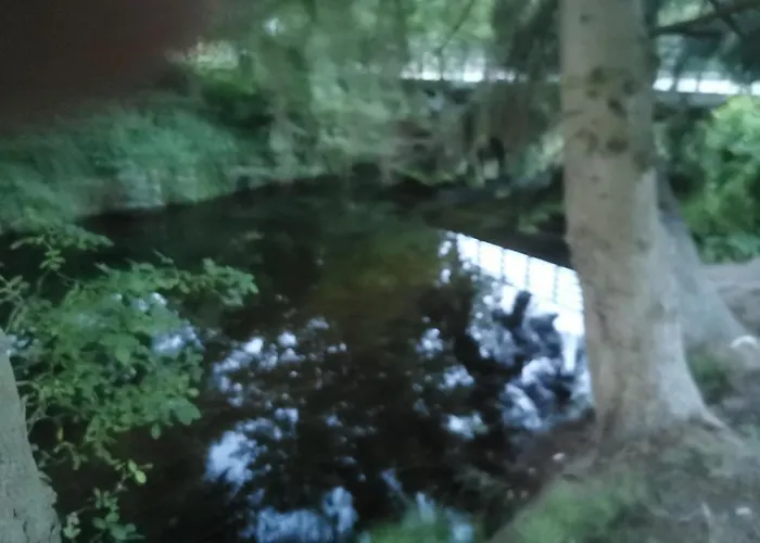 Osada Blanka Black & White * Swornegacie